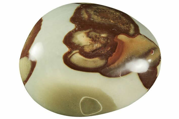 Polished Polychrome Jasper Palm Stone - Madagascar #217893